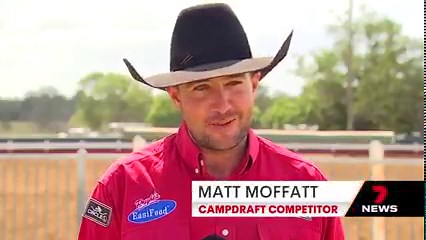Hundreds of riders have kicked up the dirt at Paradise Lagoons, for the 21st campdraft competition. While competitors and their horses raced around the ring, one cheeky cow decided to jump the wall and try to escape. 7NEWS at 6pm. More local news: 7news.com.au/news/central-queensland #7NEWS | 7NEWS Central Queensland