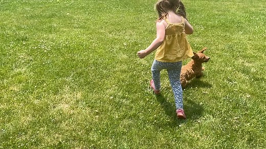 Kids and puppies ---> Nothing better! Miss Yellow is a doll ---> LilyandChloePups.com | Lily & Chloe Mini Goldendoodles