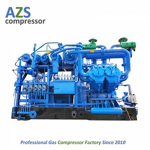 [Hot Item] Robust Durability Low Noise Powerful Compression Industrial Natural Gas Compressor