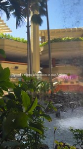 2.6K views · 74 reactions | Sound on for waterfall ASMR. #HyattRegencyWaikiki Pualeilani Atrium Shops at the Hyatt Regency Waikiki Beach Resort and Spa https://bit.ly/4dOgtka | Hyatt Regency Waikiki Beach Resort and Spa | Facebook