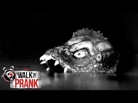 Pool Cleaning | Walk the Prank | Disney XD