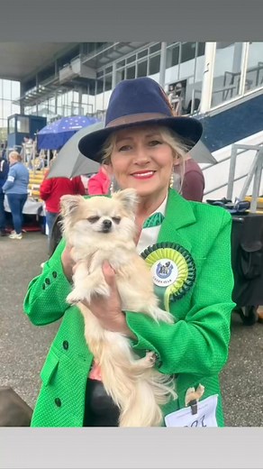 🏵️At Munster Canine Association Championship Show- under Judge A Mathews. Grace ‘Ch Frapachi Everybeat Beat of My Heart’ won green star bitch & R BOB 🎉 Tommy ‘Ch Frapachi Tom Truberts Blues’ won Green Star Dog & BOB 🎉 The baby puppies all did well ☺️ Ceasar ‘Frapachi Divine Honour’ won Best baby puppy in breed 🏆🩵 Hilda ‘Frapachi Girl Of My Dreams’ won Best baby puppy smooth coat in breed 🏆💖 Photos are from previous shows as the weather was so bad today Thank you to Patrick Fortune and Ale