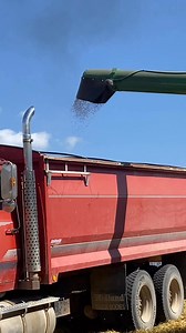 13K views · 78 reactions | Unloading barley into the truck to bring to the @farmerybrewery in Neepawa for storage and eventually malting in Winnipeg @malteurop | Farmery Brewery | Facebook