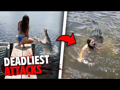 Deadliest Crocodile Attacks of 2023 MARATHON!