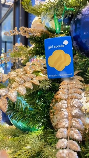 Wishing you a Christmas Eve filled with warmth, love, and joy! ✨ Happy Holidays, Girl Scout family! Reminder: Our offices and gathering places are closed till January 2. #GCNWI #GirlScouts #Ornaments #CookieSeason #Holidays | Girl Scouts of Greater Chicago and Northwest Indiana