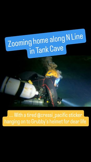 Getting in some wombat zoomies in along the N Line of Tank Cave for #WombatWednesday #cavediving #caveexploration #cressiAustralia #diveexperience #visitlimestonecoast | Soggy Wombats
