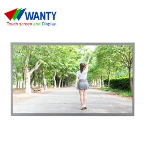 [Hot Item] Industrial 18.5 Inch 1366x768 TFT LCD Display Module