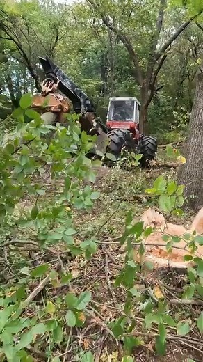 Scene from "Now I'm doing something" #prentice #skidder #logging #tractors #watch #full #videos #now | Boys In The Woods