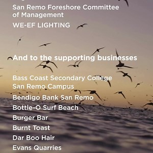 The last of Phillip Island's Short-tailed shearwater chicks have taken off on their great migration. Between 29 April and 7 May we saw a great response from local residents and businesses turning off their lights to reduce light pollution that can throw these birds off course. Our rangers rescued and returned 408 birds back to the colony, giving them a second chance at fledging. We would like to thank our partners, businesses and local community for the fantastic support. We wish the shearwaters