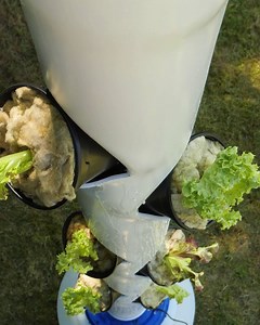 Incredible DIY Vertical Garden! | Crafty Panda