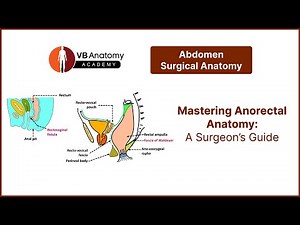 Mastering Anorectal Anatomy: A Surgeon’s Guide