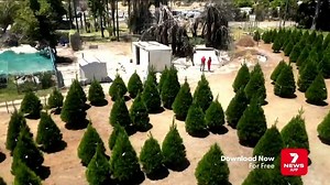 7NEWS Perth on Reels