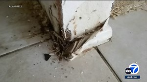 Owner of OC apartment complex sued by former tenants over mold claims