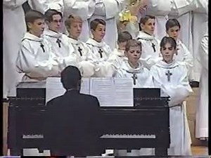 11K views · 560 reactions | Coro gatuno. Chúp... | El Robot de Linneo | Facebook