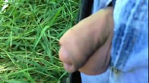 Feeding the mosquitoes