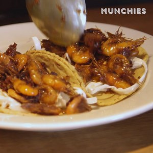 282K views | The shells of these fjord shrimp are tender and crunchy when fried—perfect for crispy tacos. Get the recipe here: https://bit.ly/2uocs1F | VICELAND | Facebook