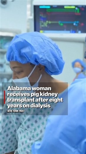An Alabama woman is recovering well after a pig kidney transplant last month that freed her from eight years of dialysis, the latest effort to save human lives with animal organs. https://trib.al/nt0wdMQ | New York Post