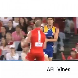 Barry Hall 😎 #barrythug #aflvines #afl #thuglife | AFL Vines