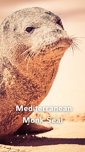 1.2K views · 26 reactions | Less than a century ago, thriving...