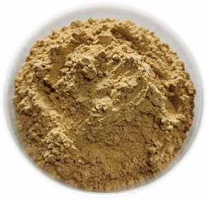 [Hot Item] Cordyceps Extract 50% Polysaccharides for Functional Food