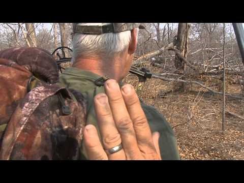UNBELIEVABLE 18 YARDS ELEPHANT BOW HUNTING IMPACT SHOT IN ZIMBABWE