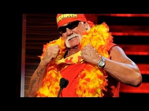 Hulk Hogan sues Gawker over sex tape