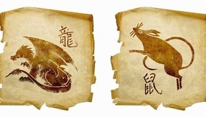 Сумісність Дракона і Щури (15 фото): загальна характеристика чоловіків і жінок, особливості їх поведінки в любові і шлюбі - ❄ porady.co.ua ❄