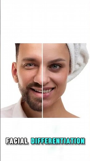 Puberty Explained: Male vs Female Changes | Testosterone & Estrogen Basics