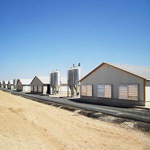 [Hot Item] Factory Piggery House Design Pig Farming Steel Structure Pig House Low Cost Comfortable Prefabricated Chicken House