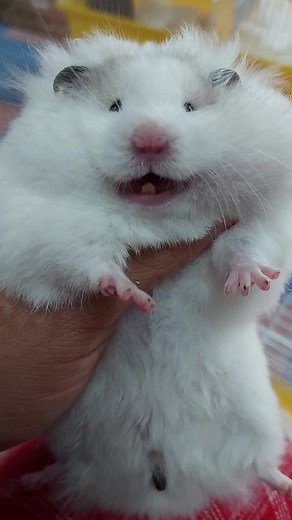 anne2519 บน TikTok