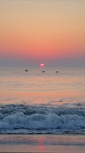 2.8K views · 772 reactions | Good Morning  | Elliot MacGuire Photography | Facebook