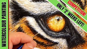 There are only '2' weeks left for this compeition to run on my Patreon Watercolour School, so you still have time to join and enter! All you need to do is paint from my hedgehog reference photo I've provided exclusively to my Patreon members. Post your painting on Patreon or email it directly to me and a decision will be made after the closing date which is thte 18th September 2019! Give it a go, I would love to see how you get on with those spikes! Paul :-) https://www.patreon.com/TheDevonArtis