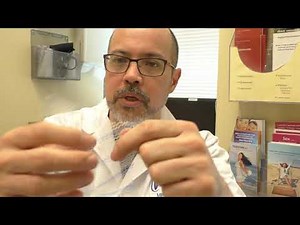 Transvaginal Mesh Repair: Q&A with Dr. Litrel