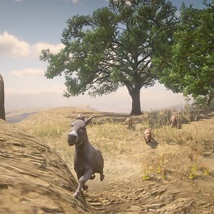 900K views · 9.1K reactions | Donkey impossible escape from tigers | Indian Gamer DT | Facebook