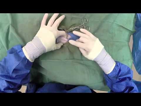 Dog Neuter Video - Canine Castration
