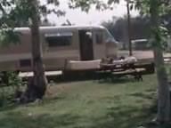 Vintage Nudist Movie - The Raw Ones (1965)