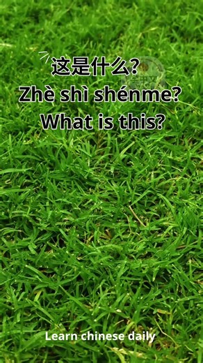 learnchinesedaily25 บน TikTok