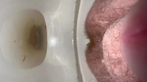 Post carnival cruise dump