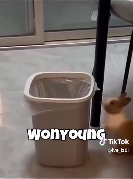 IVEメンバー紹介：ガウル、ユジン、レイ、ウォニョン、リズ、イソ