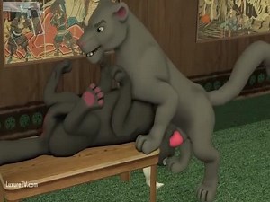 Gray lions sex