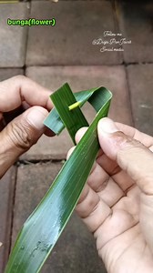 2.2K views · 62 reactions | Cara membuat bunga(flower) dari daun kelapa. . #tutorial #hiasanjanur #kreasijanur #bunga #flower #dekorasi #anyamandaunkelapa #coconutleafcraft #diy #diycraft #idekreatif Dewa Ayu Triana Dewi #fbpro | Dwija PanJavas | Facebook
