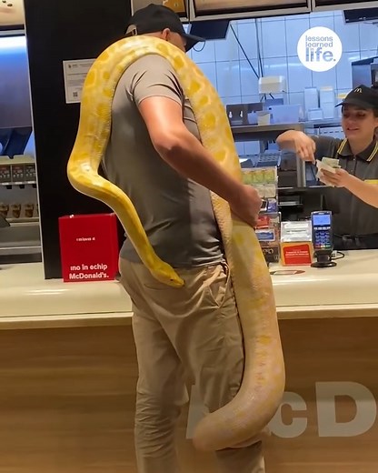 100K views · 486 reactions | I'd be leaving straight away  | Lessons Learned In Life | Facebook