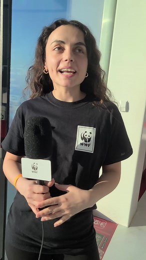 2.2K views | Happy #NationalVolunteerWeek and a HUGE THANK YOU to our incredible #CNTowerClimb volunteers!  We could not do it without volunteers like Dilek Coban, who helped fill 296 volunteer positions last weekend. | WWF-Canada | Facebook