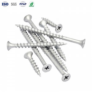 [Hot Item] Custom Screws with Dacromet Finish for Strong Anchoring