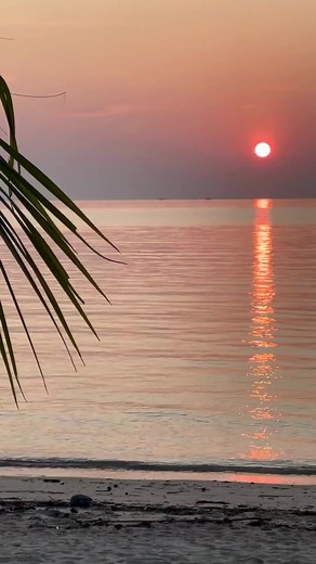 Woman are really complex .. #womenfacts #nerves #nervoussystem #pleasure #pleasurematters #exploremore #ExploreTogether #couplelife #couplegoals | Fascinating Facts