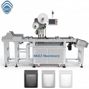 [Hot Item] Pouch Bag Paging Labeling Machine with Auto Feeding and Colletion Device
