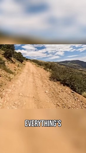 24 reactions | Motorcycle meets cow | Brock Gill | Facebook