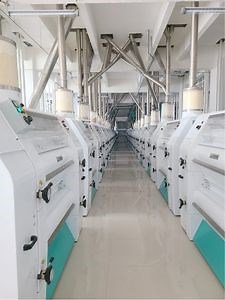 [Hot Item] Advanced 250tpd Corn Grits Production System with Custom Granulation