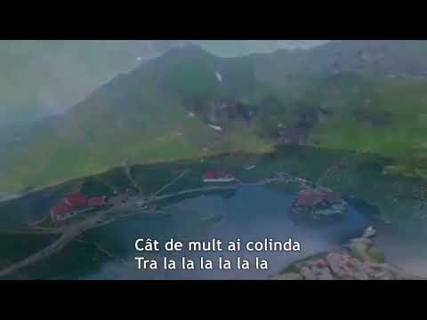 Câte țări sunt pe pământ