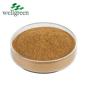 [Hot Item] Wellgreen Supplu Shiitake Powder Ahcc Shiitake Mushroom Extract